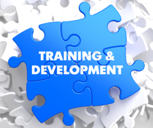 Skills Development Levy