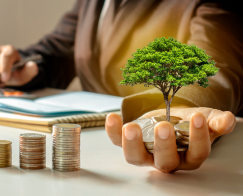 tips for pacing business growth for sustainability