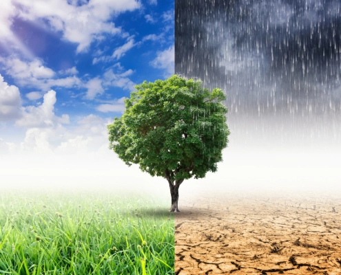 adapt or suffer how to keep your business afloat in a changing climate