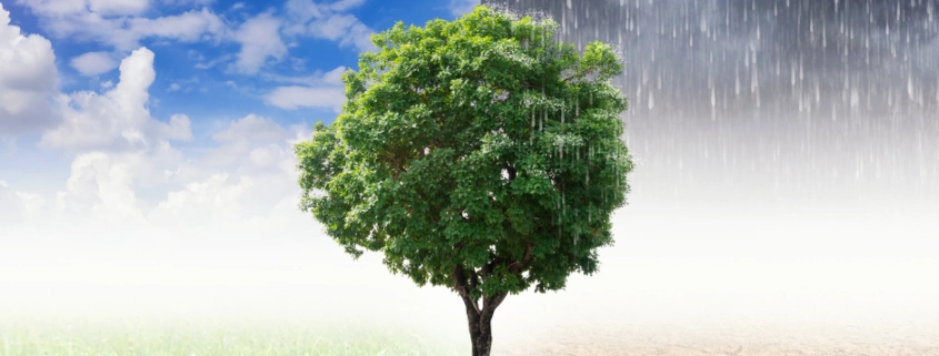 adapt or suffer how to keep your business afloat in a changing climate